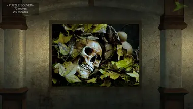 Puzzles At Mystery Manor preview 6