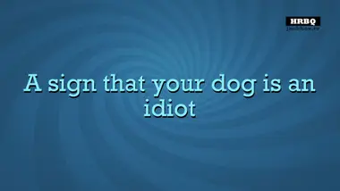 Quiplash 2 InterLASHional preview 3