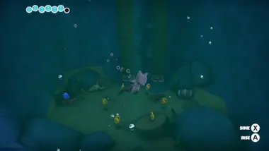 Raccoo Venture preview 17
