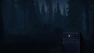 Radiolight preview 11