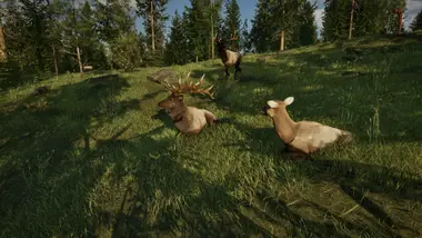 Ranger’s Path: National Park Simulator preview 3