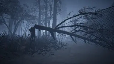 RAW FOOTAGE preview 5