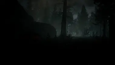 RAW FOOTAGE preview 7
