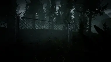 RAW FOOTAGE preview 6