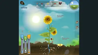 Reach for the Sun preview 7