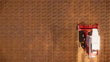 Real Farm | Gold Edition preview 2