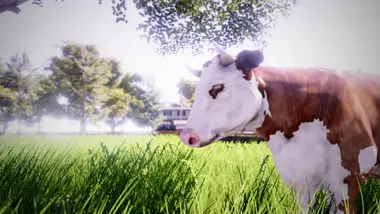 Real Farm | Gold Edition preview 14