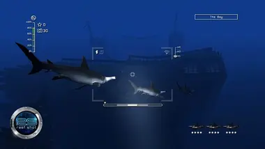 Reef Shot preview 5