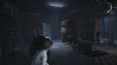 Remothered: Broken Porcelain preview 3