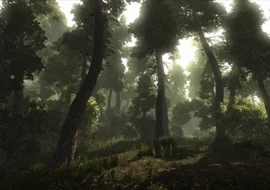 Risen preview 19