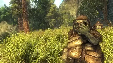Risen preview 13