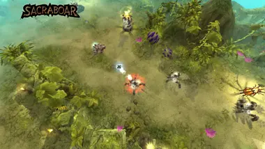 Sacraboar preview 3