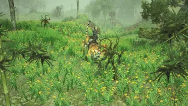 Sacred 2 Remaster preview 2