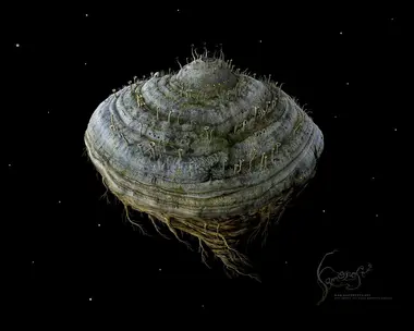 Samorost 2 preview 7