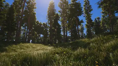 SCUM preview 17