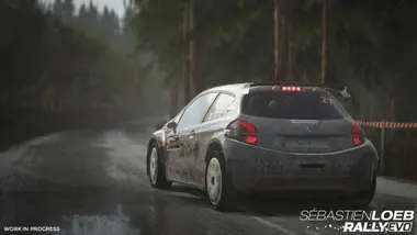 Sebastien Loeb Rally EVO - Special Edition preview 13