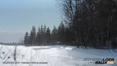 Sebastien Loeb Rally EVO - Special Edition preview 4
