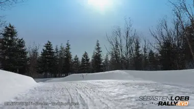 Sebastien Loeb Rally EVO - Special Edition preview 3
