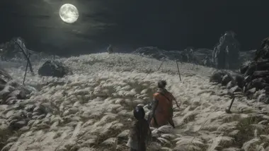 Sekiro : Shadows Die Twice - GOTY Edition - Live - UNITED STATES preview 3