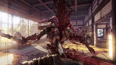 Shadow Warrior Collection preview 6