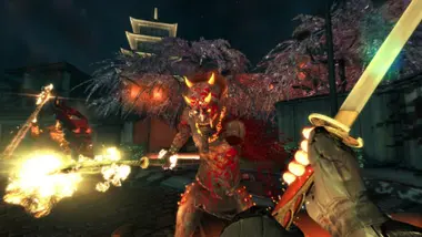 Shadow Warrior: Special Edition preview 3