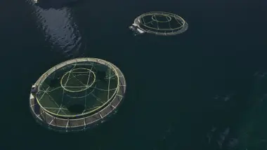 Ships at Sea preview 3