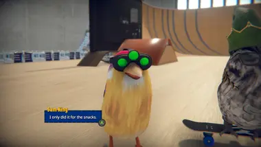 SkateBIRD preview 2