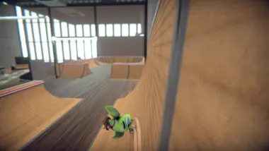 SkateBIRD preview 3