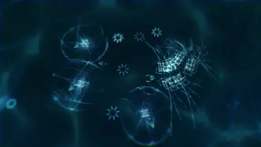 Sparkle ZERO preview 3