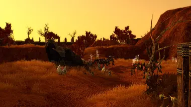 SpellForce 2 - Anniversary Edition preview 5