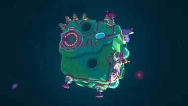 Star Birds preview 5
