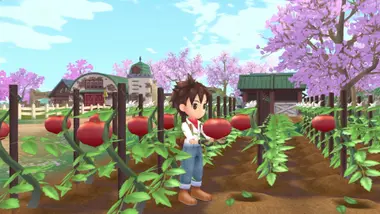 STORY OF SEASONS: A Wonderful Life preview 8