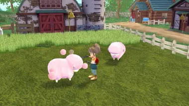 STORY OF SEASONS: A Wonderful Life preview 6