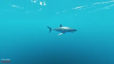 Stranded Deep preview 6