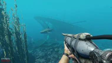 Stranded Deep - Live preview 4