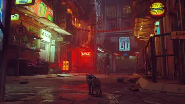 Stray preview 9