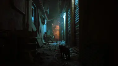 Stray preview 11