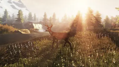 Subsistence preview 4