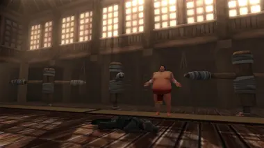 Sumoman preview 11