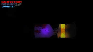 Survivor Squad: Gauntlets preview 5