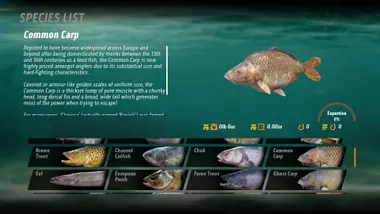 The Catch: Carp & Coarse preview 3