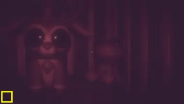 The Childs Sight preview 4