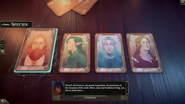 The Dark Eye : Book of Heroes preview 12
