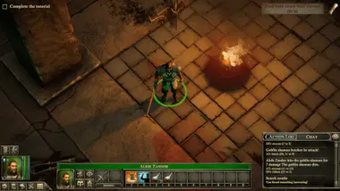 The Dark Eye : Book of Heroes preview 11