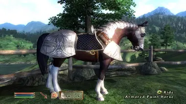 The Elder Scrolls IV: Oblivion Game of the Year Edition Deluxe preview 28