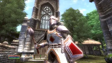 The Elder Scrolls IV: Oblivion Game of the Year Edition Deluxe preview 14