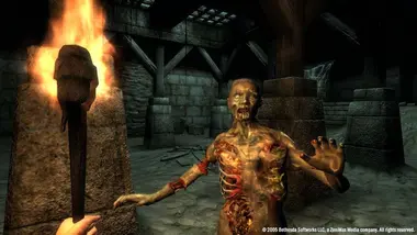 The Elder Scrolls IV: Oblivion GOTY preview 14