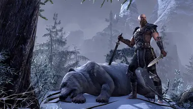 The Elder Scrolls Online | Standard Edition preview 3
