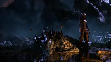 The Elder Scrolls Online | Standard Edition - Live preview 5