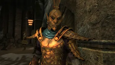 The Elder Scrolls V: Skyrim Anniversary Edition - - INDIA preview 10